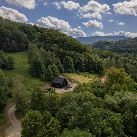 Villa Czarny W Gorach Pieszyce