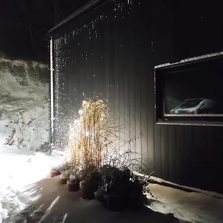 Villa Czarny W Gorach *